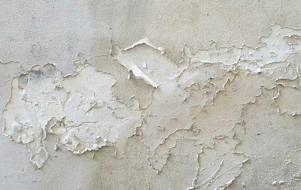 Damp Investigations & Damp Surveys Cape Town