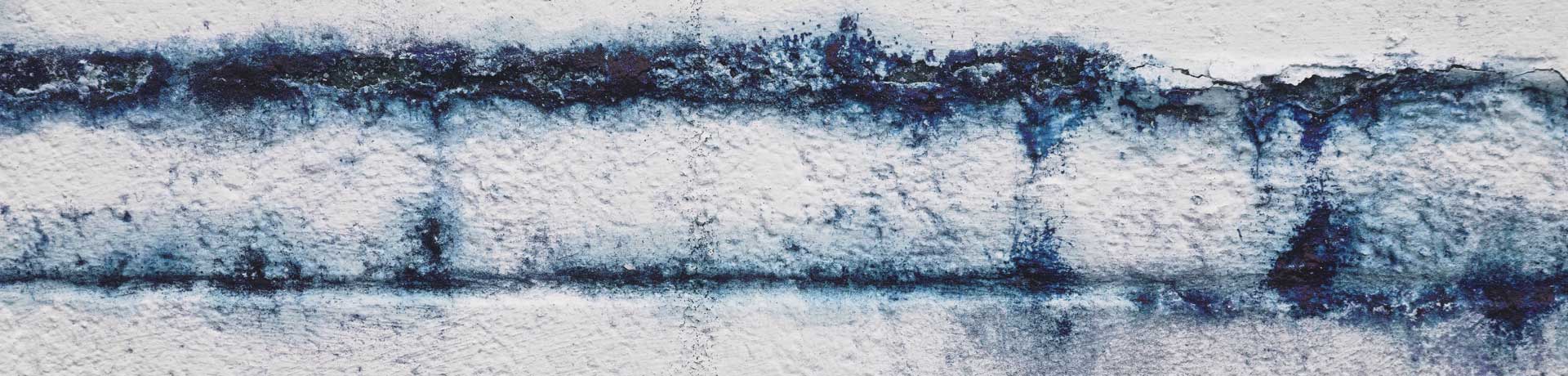 Terms, POPIA and Privacy Policy of Damp Proofing Cape Town website - for your peace of mind Get clarity with Damp Proofing CT: POPIA, Privacy Policy & Terms