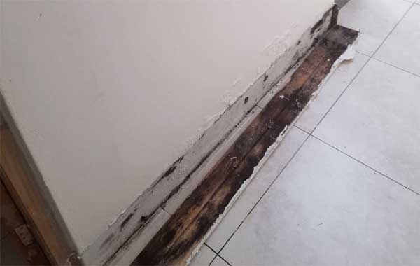 Cape Town Rising Damp