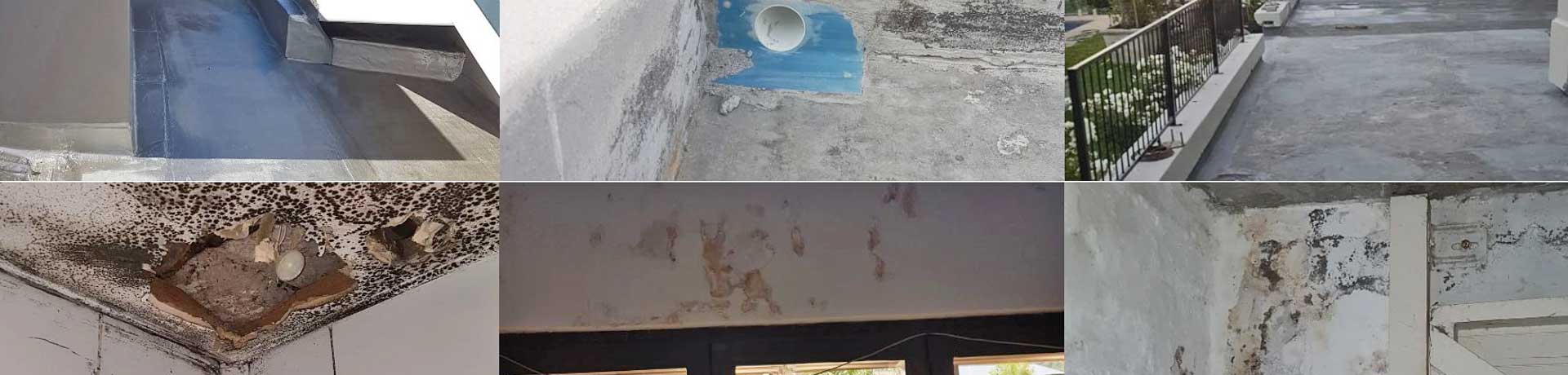We can determine the root cause of all kinds of damp effectively
