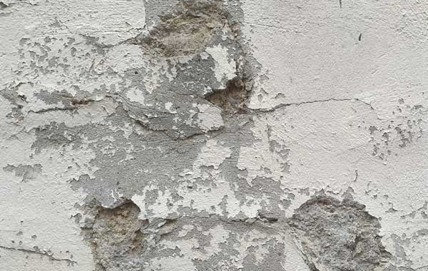 We offer Damp Surveys in Cape Town